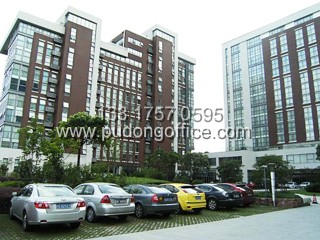 չӍ����-�֖|�����k����