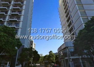 �P�ˈ@-��ӛ��k����