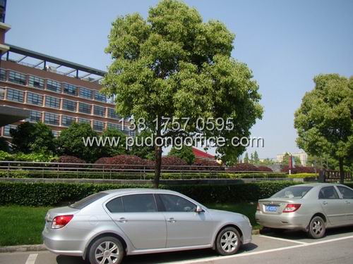 �к����Q��Ϣ�Ƽ��@�������Q��B��