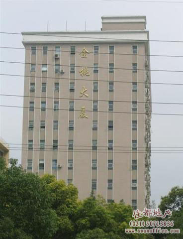 ���Ҵ�B���֖|�˰۰錑�֘ǣ�