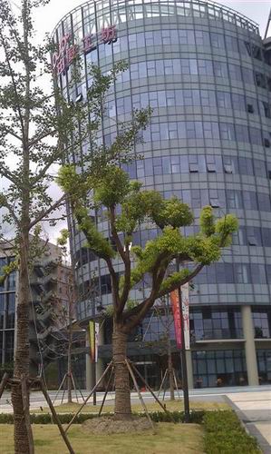 �ɶȹ������֖|���?q��)��֘ǣ? width=215px height=190px id=img border=0 > </a><a href=http://www.bxgsjlp.cn/UploadFile/1121410.jpg target=